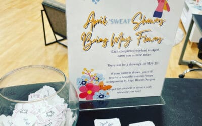 Welcome to Our New Website